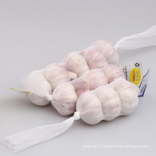 New Crop Natural Fresh White Garlic Price